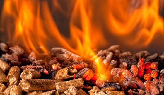 Rozwój branży pelletu